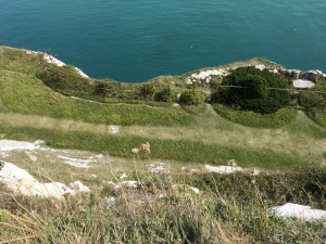 White Cliffs Of Dover