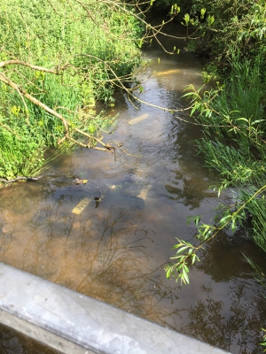 Watery Gate Lane ford